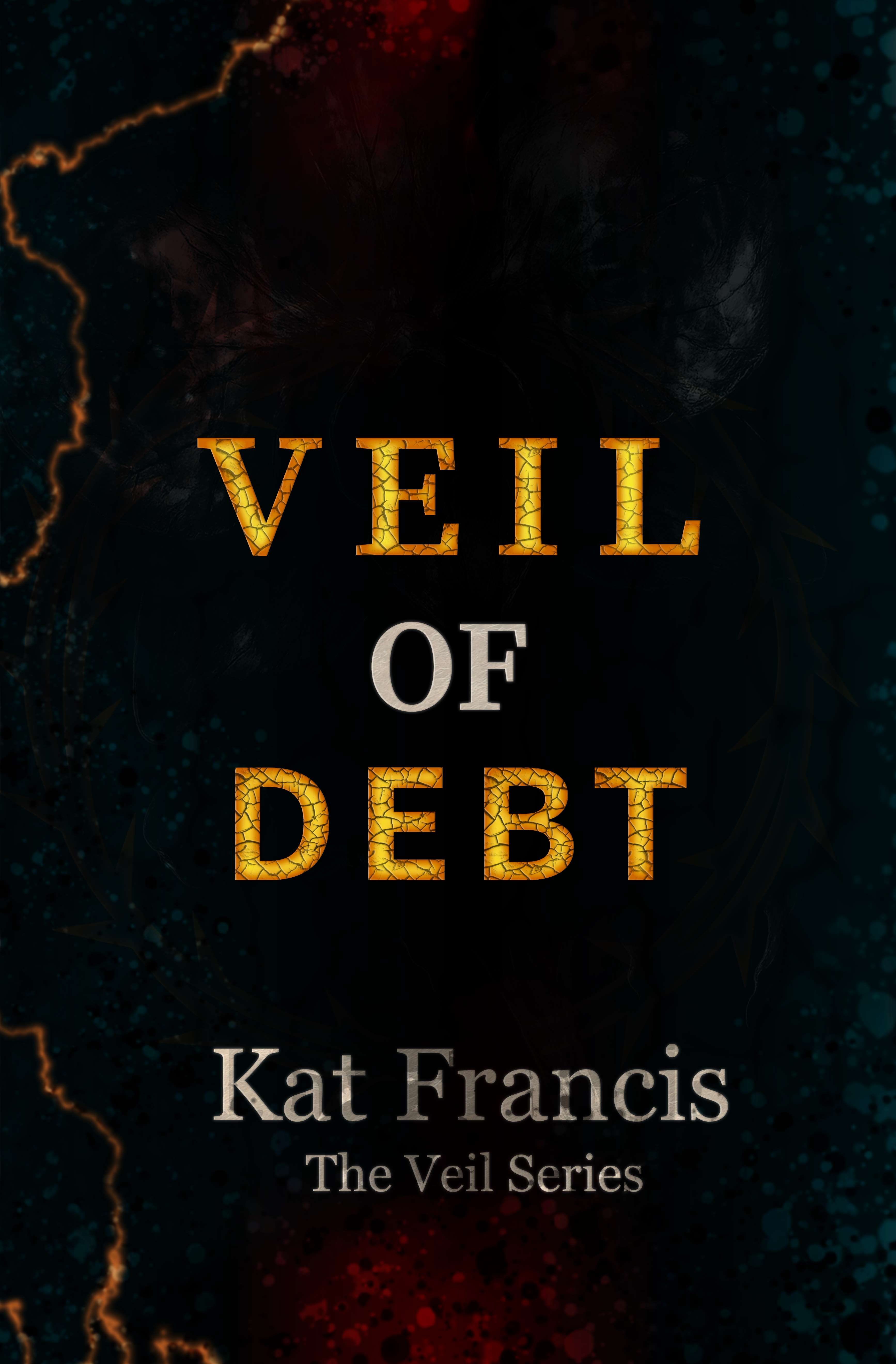 Veil of Debt Book Cover